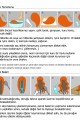 Küllü Kumral Ombreli Kısa Sentetik Dalgalı Perçemli Fiber Sentetik Peruk 9045-6h88bf8-mcp